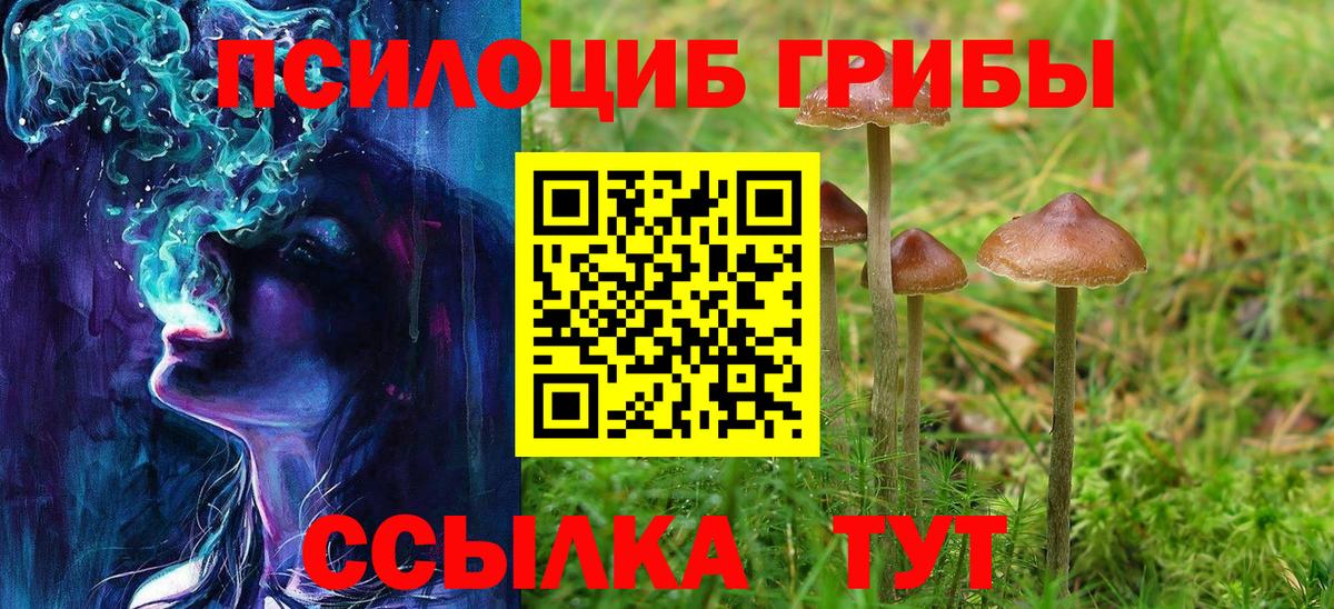 Галлюциногенные грибы ЛСД Норильск